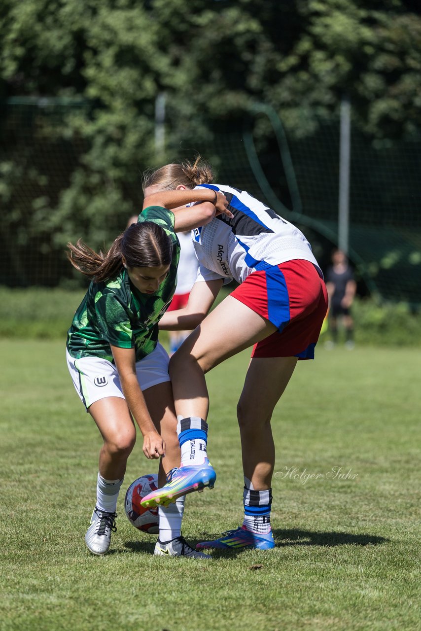 Bild 99 - wBJ Hamburger SV - VfL Wolfsburg : Ergebnis: 5:1